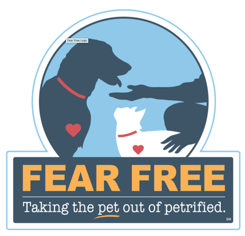 Fear Free Veterinarian